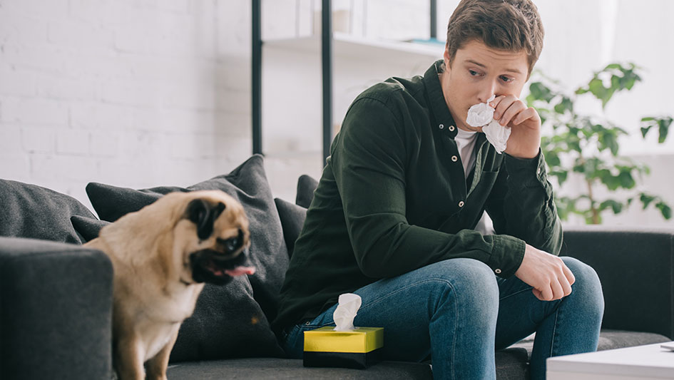 Installing an air purifier is one of the best ways to boost your house’s indoor air quality. Discover more about the three top products. 