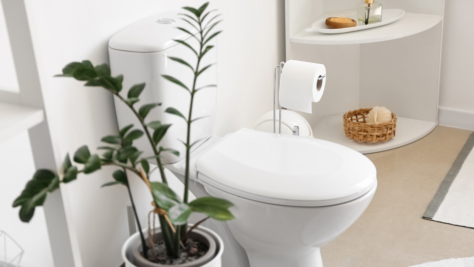 Answered: Why Your Toilet Keeps Running and Five Other Common Issues